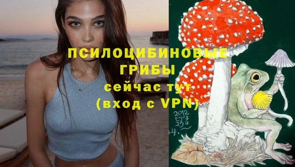 apvp Богданович