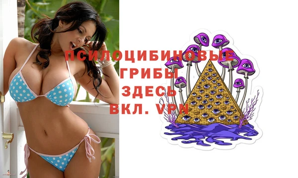 apvp Богданович