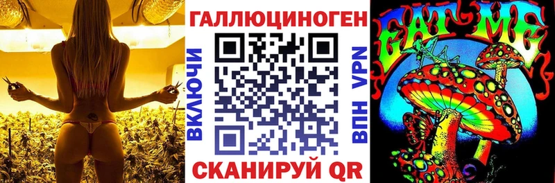 Псилоцибиновые грибы мицелий  Симферополь 